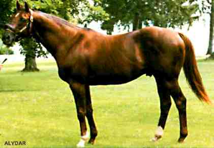 Alydar