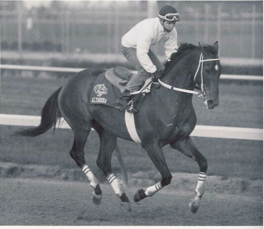 Alysheba gallops at Churchill Downs