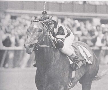 Spectacular
          Bid