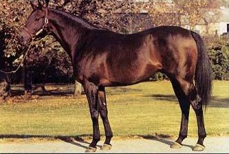 Buckpasser