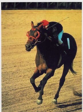 Buckpasser