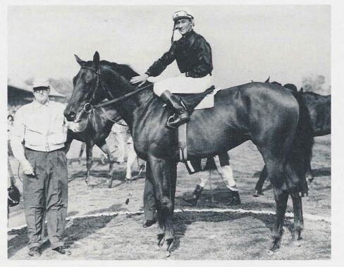 Buckpasser after winning the Hopeful