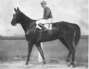 Exterminator won repeatedly at Pimlico