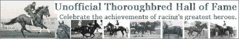 Unofficial Thoroughbred Hall of Fame