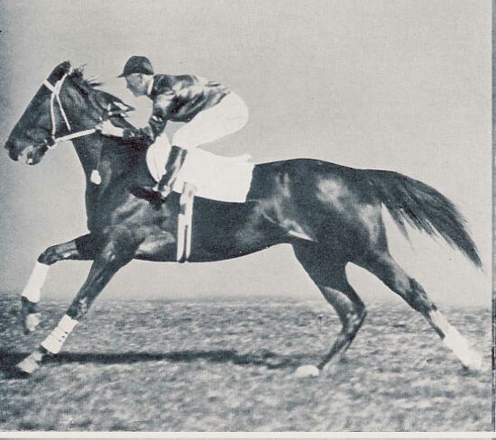 Phar Lap