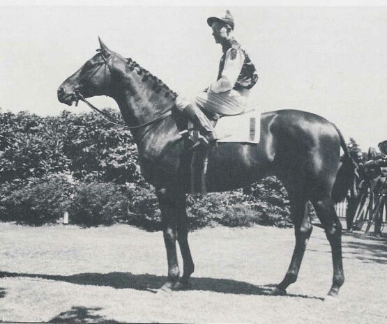 Seabiscuit before his match with War Admiral