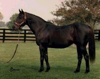 SeattleSlew