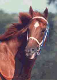 Secretariat