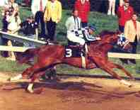 Preakness Stakes