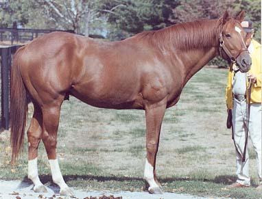 Secretariat