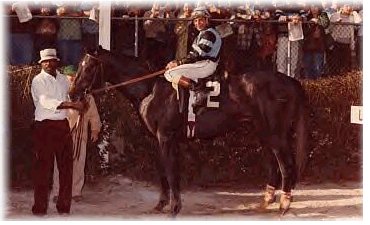 Spectacular Bid at two