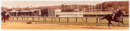 This is what eight and a half lengths looks like.  Spectacular Bid wins the Laurel Futurity