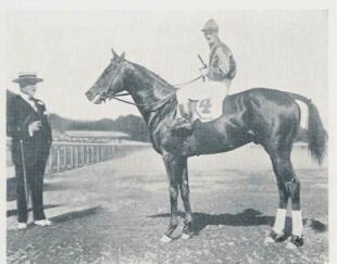 Juvenile Champion Sun Briar with owner W.S. Kilmer