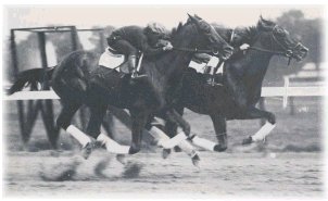 Sun Briar and Exterminator work together