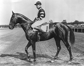 War Admiral