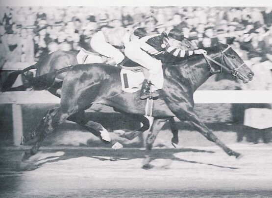 War Admiral's hard fought Preakness